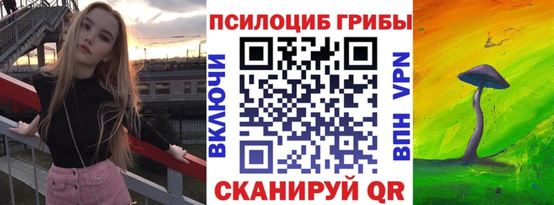 гидра маркетплейс  Бологое  Псилоцибиновые грибы Psilocybe 