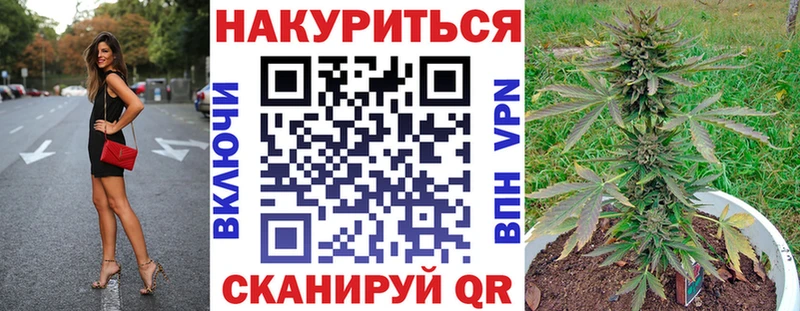 Конопля Ganja  Бологое 